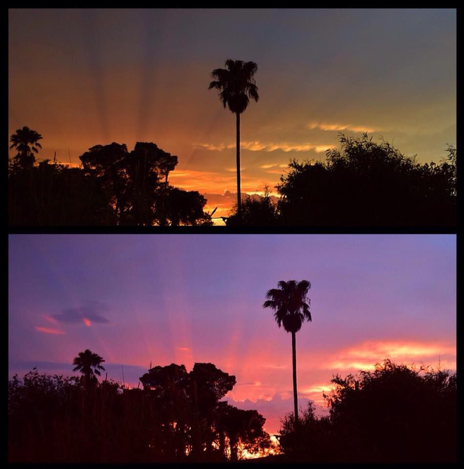 Reader sunsets